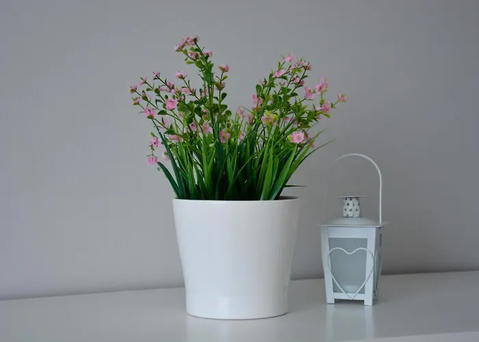 Апартаменты Fma & Bike