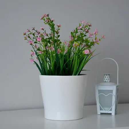 Διαμέρισμα Fma & Bike